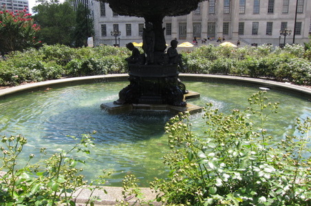 Enlarge photo 5