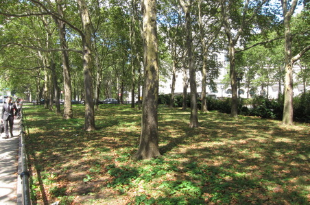 Enlarge photo 16