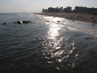 Enlarge photo 16