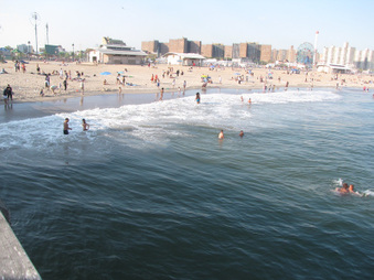 Enlarge photo 19