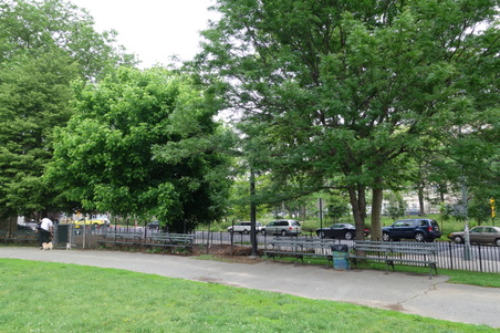 Enlarge photo 11