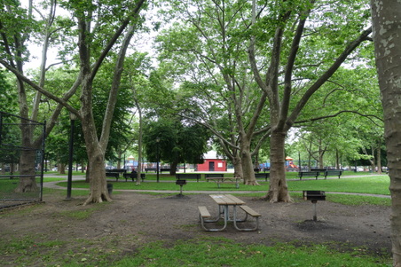 Enlarge photo 46