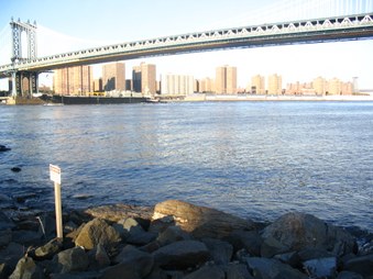 Enlarge photo 27