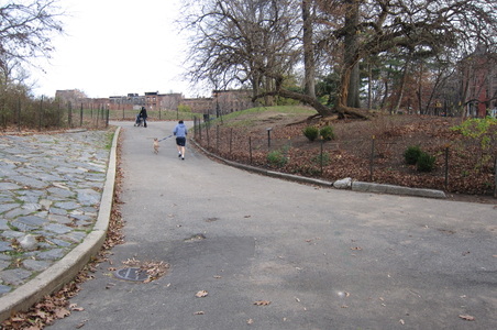 Enlarge photo 30