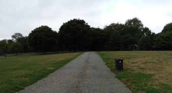 Enlarge photo 11