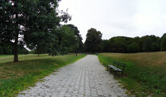 Enlarge photo 12