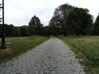 Enlarge photo 14