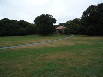 Enlarge photo 16