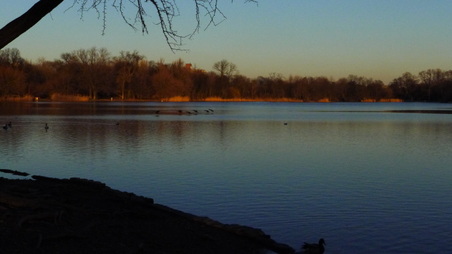 Enlarge photo 3