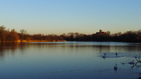 Enlarge photo 7