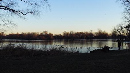 Enlarge photo 9