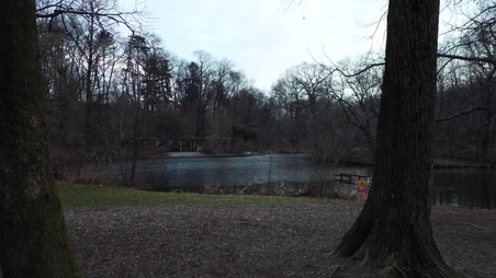 Enlarge photo 15