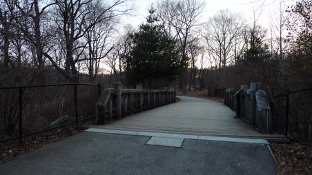 Enlarge photo 21