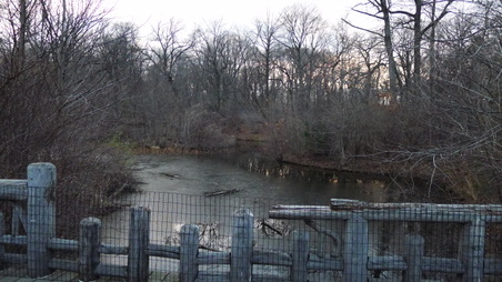 Enlarge photo 23
