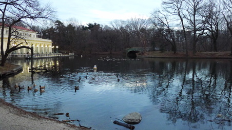 Enlarge photo 25