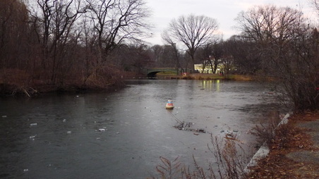 Enlarge photo 32