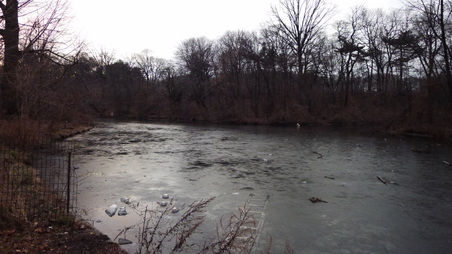 Enlarge photo 33