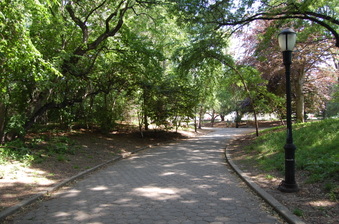 Prospect Park - West Drive