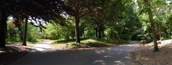 Enlarge photo 5