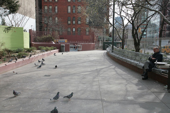 Enlarge photo 10