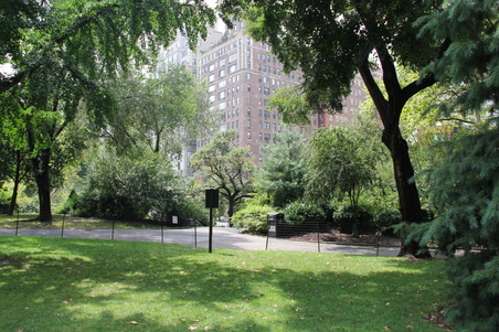 Enlarge photo 9