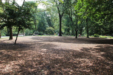 Enlarge photo 15