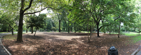 Enlarge photo 16
