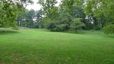 Enlarge photo 3