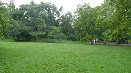 Enlarge photo 5