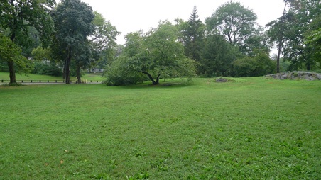 Enlarge photo 11