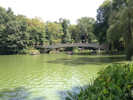 Enlarge photo 7
