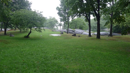 Enlarge photo 4