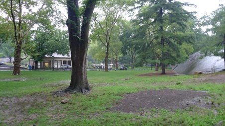 Enlarge photo 9
