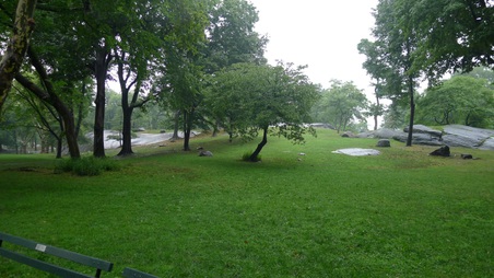 Enlarge photo 23