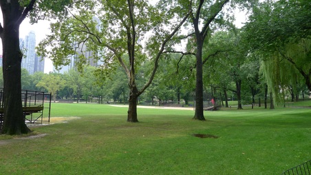 Enlarge photo 11