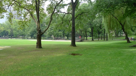 Enlarge photo 12