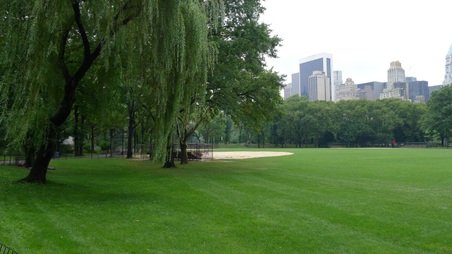 Enlarge photo 17