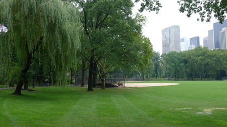 Enlarge photo 22