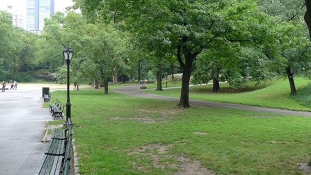 Enlarge photo 27