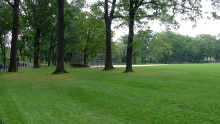 Enlarge photo 29