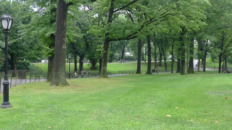 Enlarge photo 35