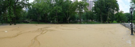 Enlarge photo 39