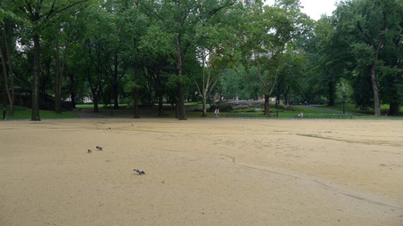 Enlarge photo 40