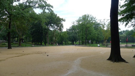 Enlarge photo 41