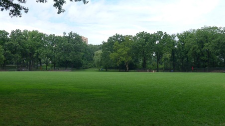 Enlarge photo 51