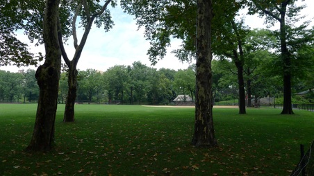 Enlarge photo 54