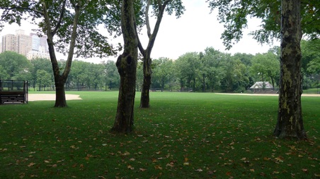 Enlarge photo 55