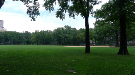Enlarge photo 57