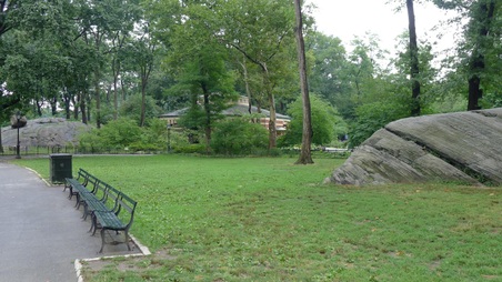 Enlarge photo 65