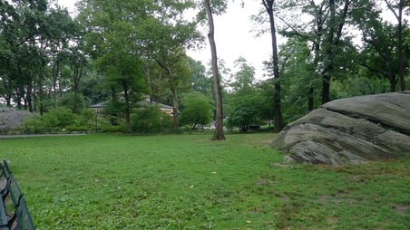 Enlarge photo 67
